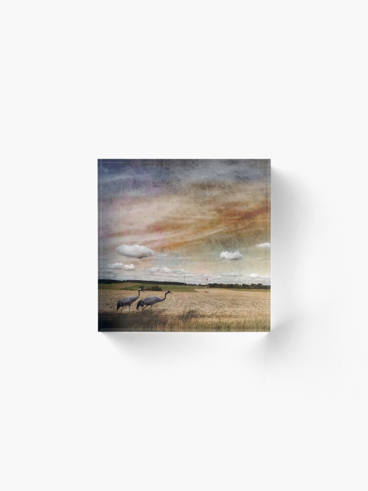 Alternate view of Two Cranes Acrylic Block