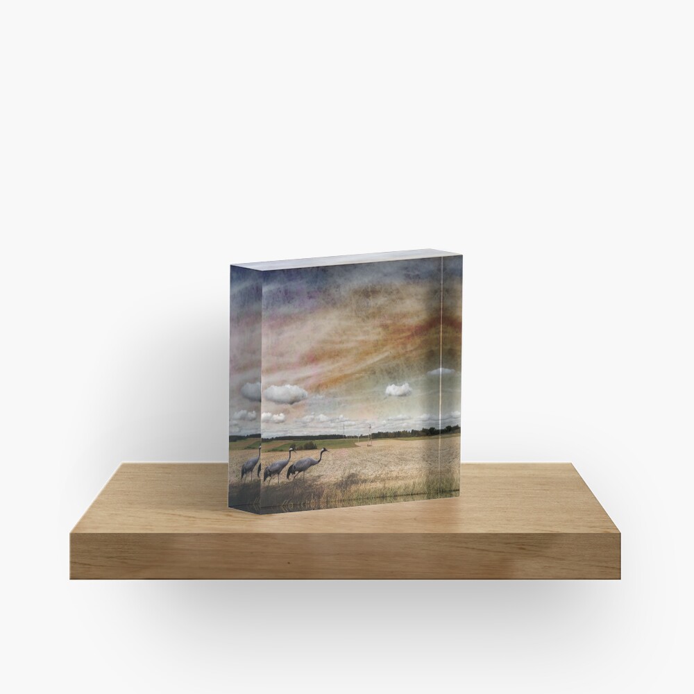 Two Cranes Acrylic Block
