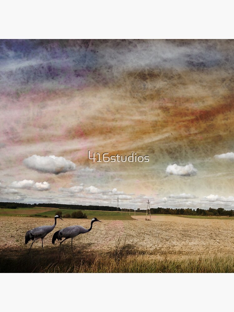 Two Cranes by 416studios