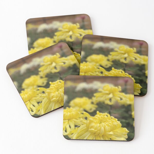 Item preview, 菊 chrysanthemum 2023 designed and sold by Ula Shibazaki.