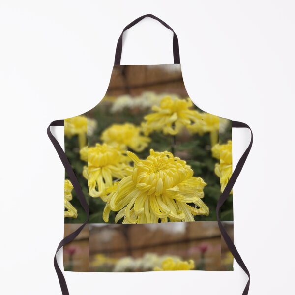 Item preview, 菊 chrysanthemum 2023 designed and sold by Ula Shibazaki.