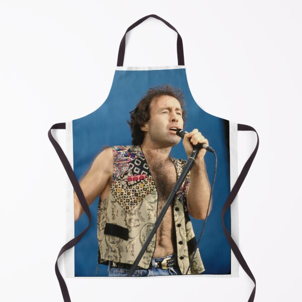 Item preview, Paul Rodgers - Woodstock 94 - Photograph designed and sold by ConcertImages.