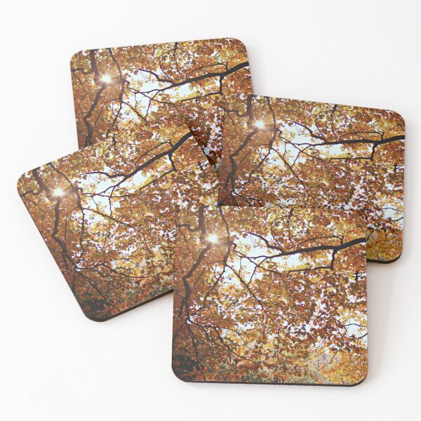 Item preview, Autumn Sunlight designed and sold by Rachel J Bowler.