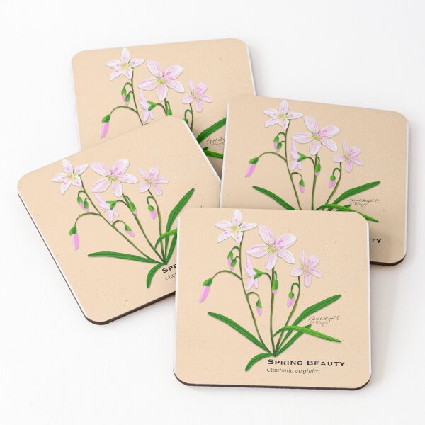 Item preview, Spring Beauty Botanical Illustration designed and sold by Peleegirl.