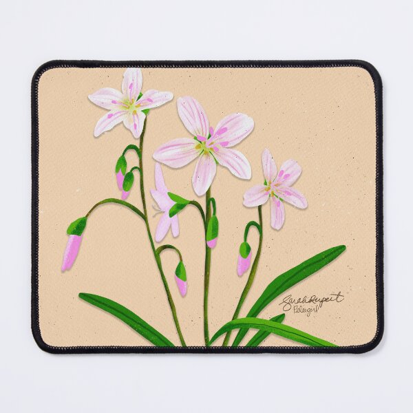 Item preview, Spring Beauty Botanical Illustration designed and sold by Peleegirl.