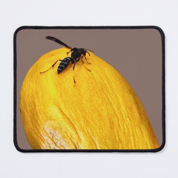 Item preview, The Mango designed and sold by South Bay Storyteller .