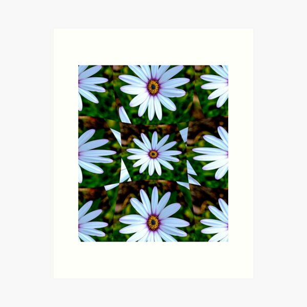 Item preview, White Daisy Pattern designed and sold by Patternflower.