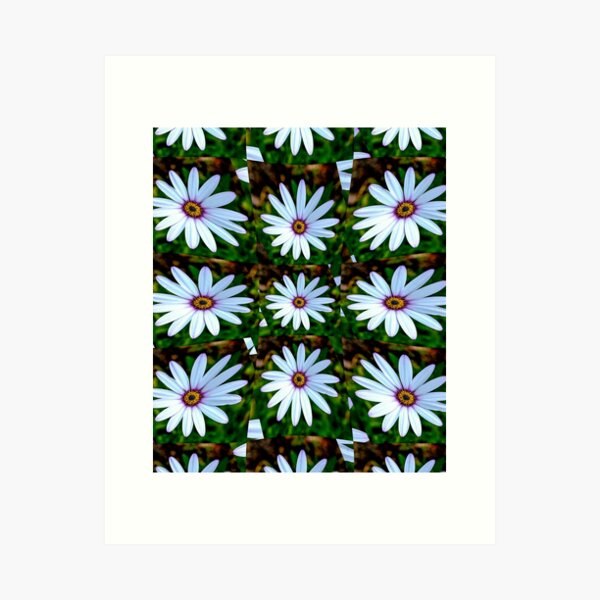 Item preview, White Daisy Pattern designed and sold by Patternflower.