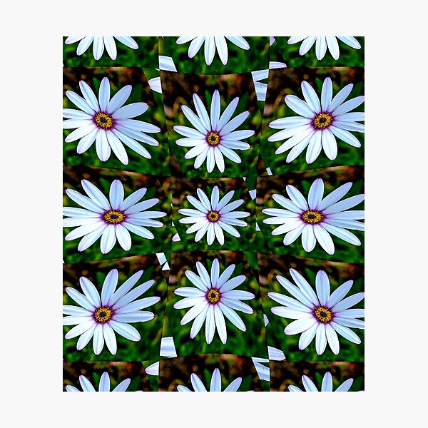 Item preview, White Daisy Pattern designed and sold by Patternflower.