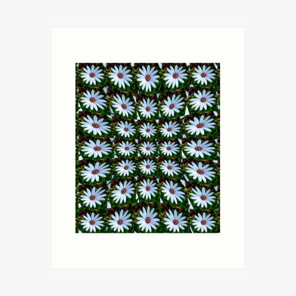 Item preview, White Daisy Pattern designed and sold by Patternflower.