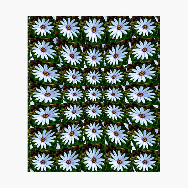 Item preview, White Daisy Pattern designed and sold by Patternflower.