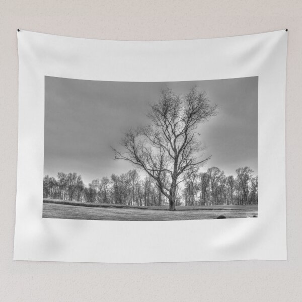Item preview, Standing Tall All Alone designed and sold by BradKnorrArt.