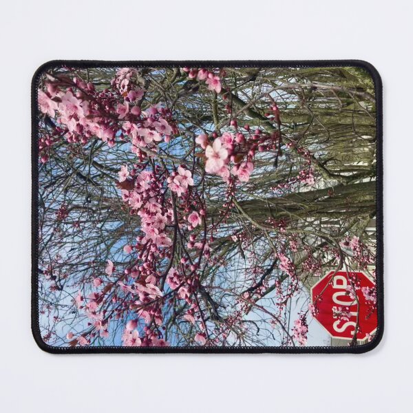 Item preview, Blooming Ornamental Plum Tree designed and sold by Amanda1775.