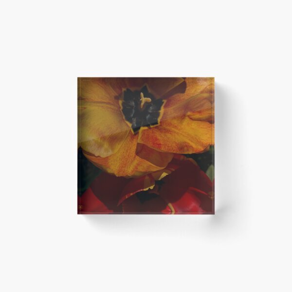 Item preview, Double Blooms designed and sold by Dismal-Rain.