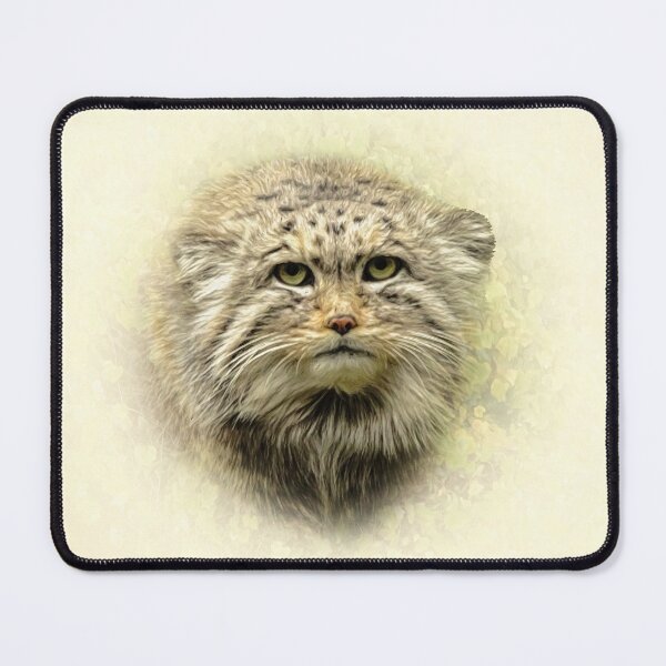 Item preview, Manul-Pallas's cat designed and sold by Guardi71.