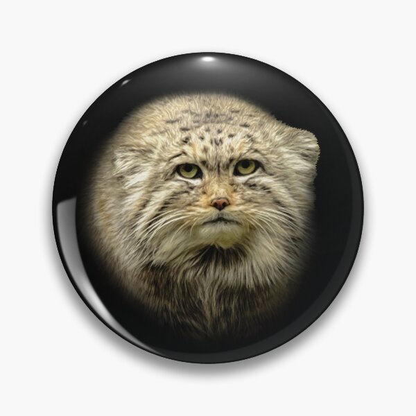 Item preview, Manul-Pallas's cat designed and sold by Guardi71.