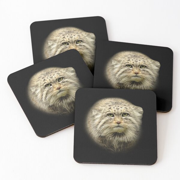 Item preview, Manul-Pallas's cat designed and sold by Guardi71.