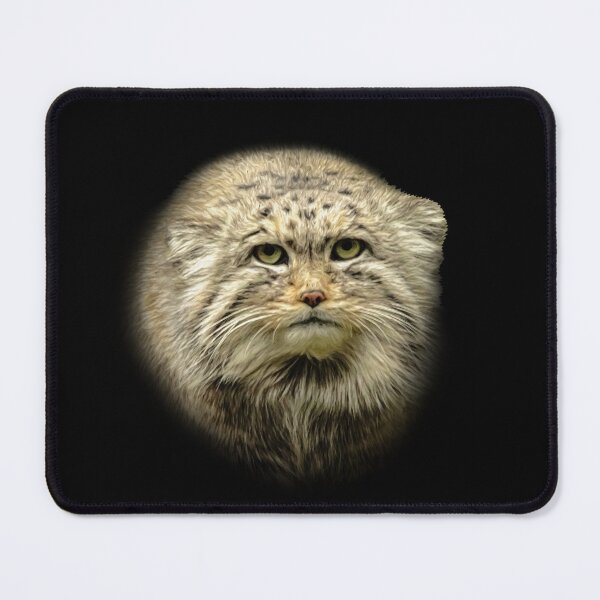 Item preview, Manul-Pallas's cat designed and sold by Guardi71.