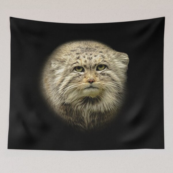 Item preview, Manul-Pallas's cat designed and sold by Guardi71.