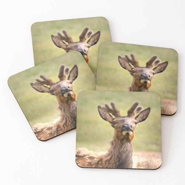 Item preview, Look at my new antlers. designed and sold by Larry Davis.