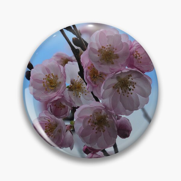Item preview, Cherry-picking spring designed and sold by indigrassy.