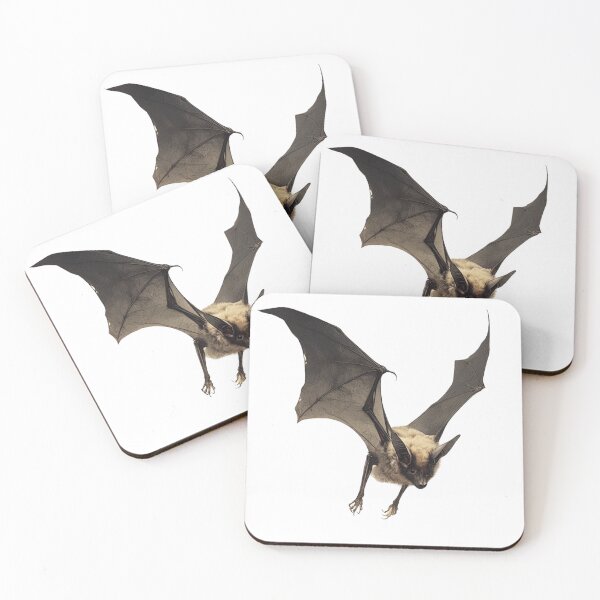 Item preview, Chiropteran bat designed and sold by SMARTKIT  DESIGNAGENCY.