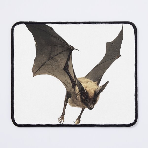 Item preview, Chiropteran bat designed and sold by SMARTKIT DESIGNAGENCY.
