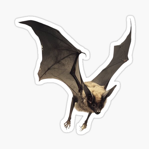 Item preview, Chauve-souris chiroptère designed and sold by SMARTKIT  DESIGNAGENCY.