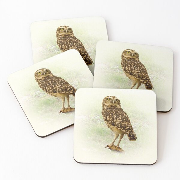 Item preview, Burrowing Owl designed and sold by Guardi71.