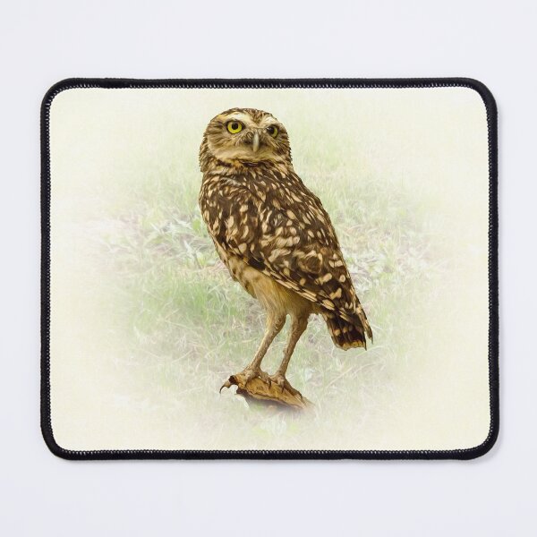 Item preview, Burrowing Owl designed and sold by Guardi71.