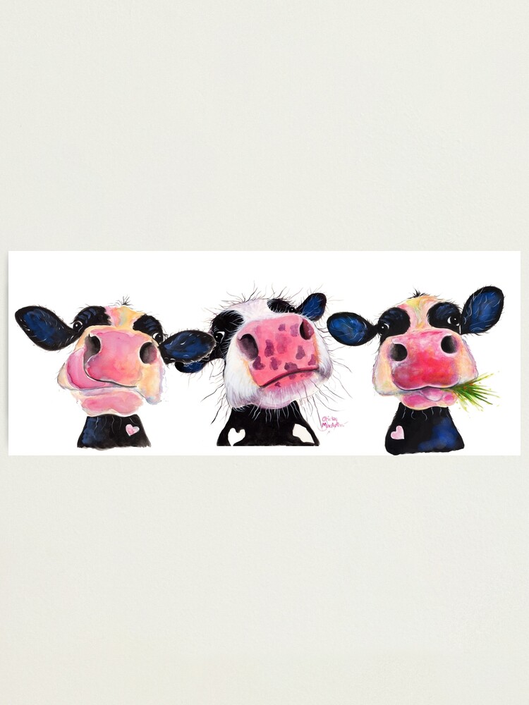 Alternate view of CoW PRiNT ' THe NoSeY CoWS ' by Shirley MacArthur Photographic Print