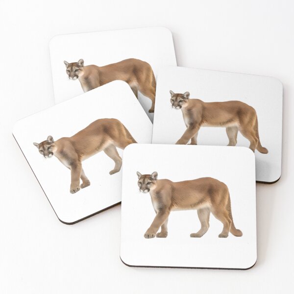 Item preview, Cougar designed and sold by ArunDandiboina.