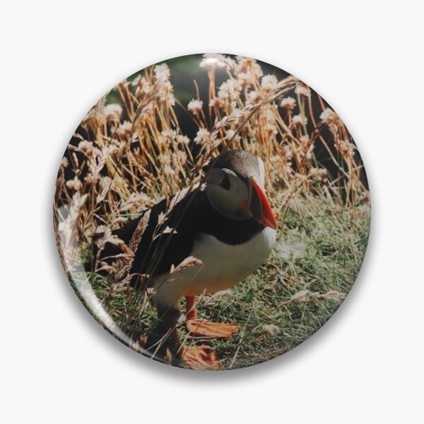 Item preview, Lone Puffin - Isle of Iona - Inner Hebriddes - Scotland  designed and sold by Emilia Oxelheim.