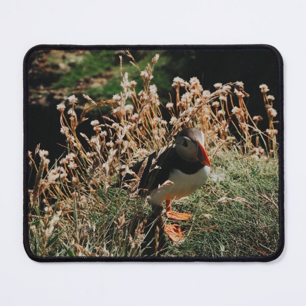 Item preview, Lone Puffin - Isle of Iona - Inner Hebriddes - Scotland designed and sold by Emilia Oxelheim.