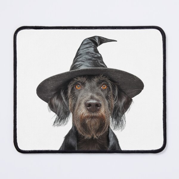Item preview, German Wirehaired Pointer Dog Wearing Halloween Witch Hat designed and sold by LazyOwlStore.