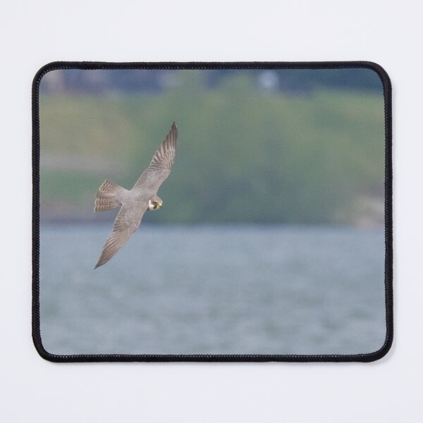 Item preview, Eurasian Hobby designed and sold by LaurenTucker.