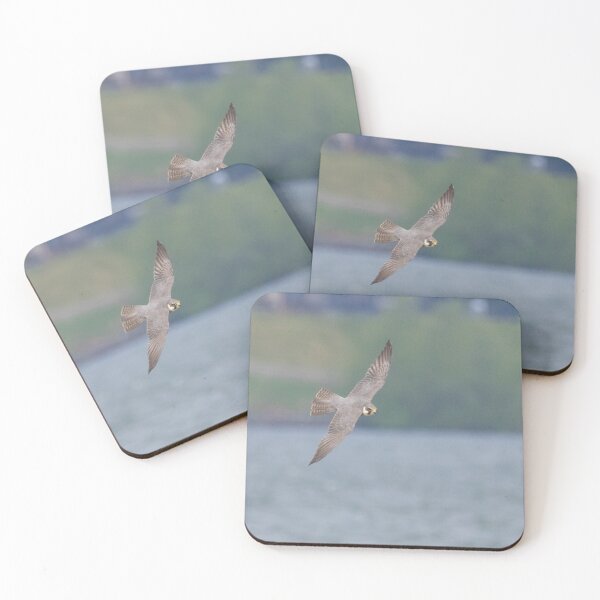 Item preview, Eurasian Hobby designed and sold by LaurenTucker.