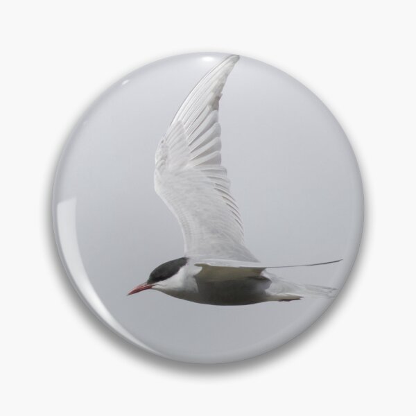 Item preview, Whiskered Tern designed and sold by LaurenTucker.