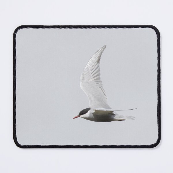 Item preview, Whiskered Tern designed and sold by LaurenTucker.
