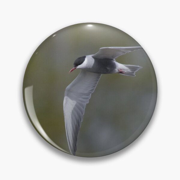 Item preview, Whiskered Tern designed and sold by LaurenTucker.