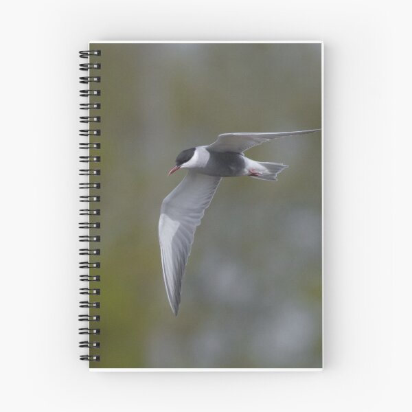 Item preview, Whiskered Tern designed and sold by LaurenTucker.