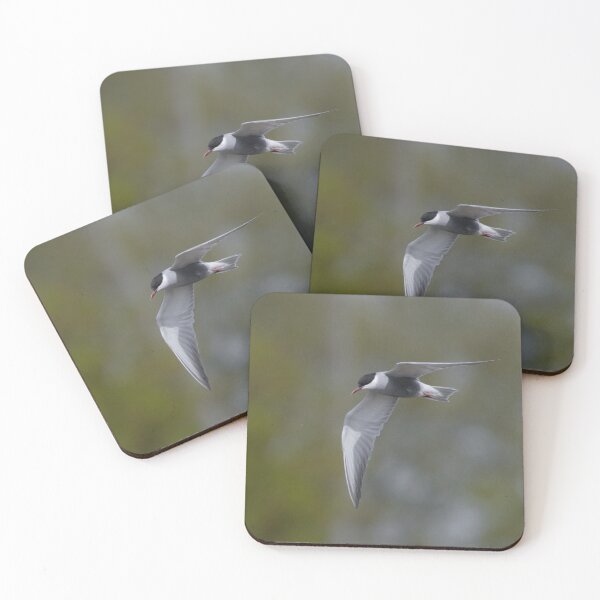 Item preview, Whiskered Tern designed and sold by LaurenTucker.