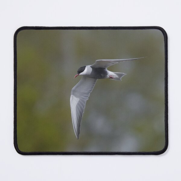 Item preview, Whiskered Tern designed and sold by LaurenTucker.