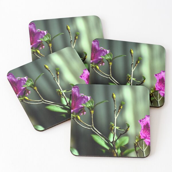 Item preview, Pink Azaleas  designed and sold by MercerImages.
