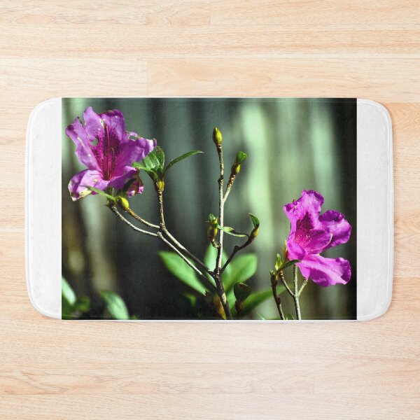 Item preview, Pink Azaleas  designed and sold by MercerImages.