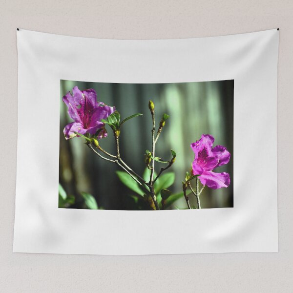 Item preview, Pink Azaleas  designed and sold by MercerImages.
