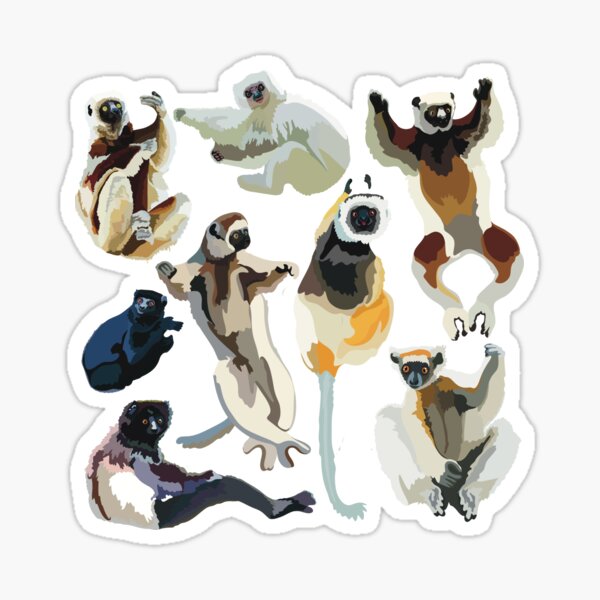 Item preview, S is for Sifaka Lemur, Sifaka Lemur Illustration – Unique Madagascar Primate Art for Wildlife Lovers designed and sold by thezoogirl.