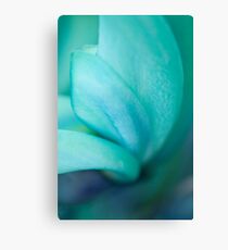 Jade Vine Flower 2 Canvas Print