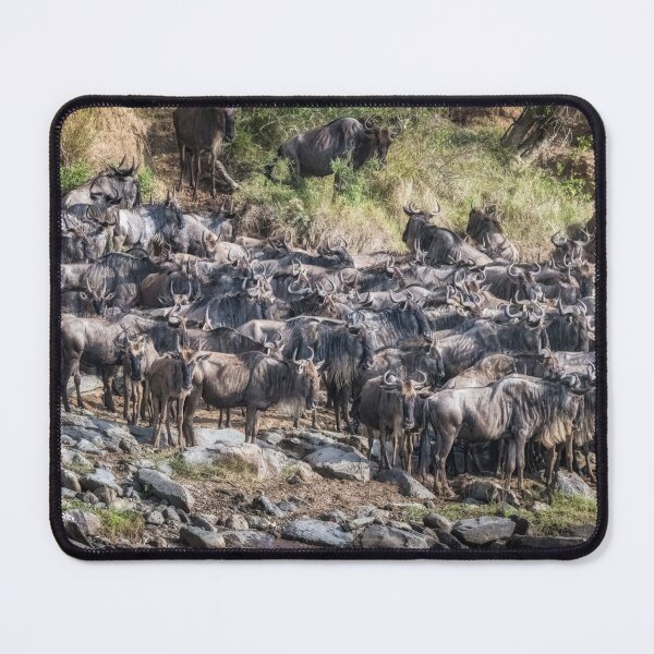 Item preview, Great Migration Waiting On Shore Kenya designed and sold by PhotoArt by Joan Carroll.