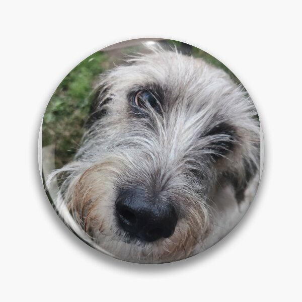 Item preview, Cute little old man doggy designed and sold by Raineylanes.